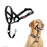 Los Mejores Collares Anti Tirones: Análisis y Comparativa para un Paseo sin Estrés con tu Mascota