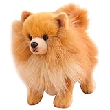 Los Mejores Productos para Pomeranias en Canarias: Análisis y Comparativa para Consentir a tu Mascota