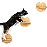 Las Mejores Escaleras para Gatos de Pared: Comparativa y Análisis de Productos para tu Amigo Felino