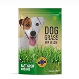 Las Mejores Hierbas para Perros: Análisis y Comparativa de Productos Naturales para el Bienestar Canino
