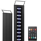 Las Mejores Luces LED para Acuarios: Análisis y Comparativa de Productos Imperdibles para Tu Mascota Acuática