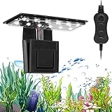 Las Mejores Luces LED para Acuarios: Análisis y Comparativa de Productos Esenciales para tu Pecera