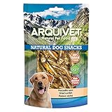 Las Mejores Sardinas para Perros: Análisis y Comparativa de Productos Saludables para Tu Mascota