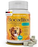 Los Mejores Condroprotectores Naturales para Perros: Análisis y Comparativa de Productos Efectivos