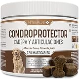 Las Mejores Marcas de Pienso con Condroprotectores: Análisis y Comparativa para el Bienestar de Tu Mascota