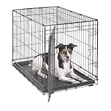 Comparativa de los Mejores Boxes para Perros: Encuentra el Espacio Perfecto para Tu Mascota