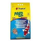 Las Mejores Opciones de Comida para Peces de Estanque Barata: Análisis y Comparativa de Productos Esenciales