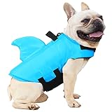 Las Mejores Playas para Perros en Lloret de Mar: Análisis y Comparativa de Accesorios Imprescindibles para Tu Mascota