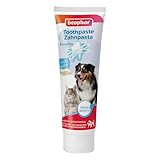 Las Mejores Pastas de Dientes para Gatos: Análisis y Comparativa de Productos Esenciales para la Salud Dental de tu Felino