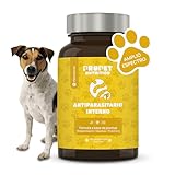 Las Mejores Pastillas Antiparasitarias para Perros: Análisis y Comparativa de Productos Efectivos contra los Gusanos
