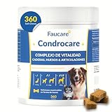 Las Mejores Pastillas de Calcio para Perros: Análisis y Comparativa de Productos Esenciales para la Salud Canina