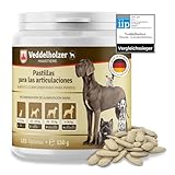 Los Mejores Cuidadores de Perros en Vitoria: Comparativa y Análisis de Servicios para Tu Mascota