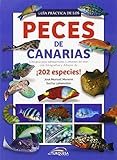 Análisis de los Mejores Acuarios y Accesorios para Peces Canarias: Todo lo que Necesitas Saber