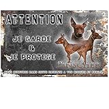 Disfruta de Roquetas de Mar con tu Perro: Guía de Actividades y los Mejores Productos para una Aventura Perfecta