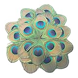 Las Mejores Plumas de Pavo Real para Adornos de Mascotas: Análisis y Comparativa de Productos Destacados