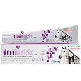Las Mejores Pomadas Cicatrizantes para Almohadillas de Perros: Análisis y Comparativa de Productos Efectivos