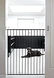 Las Mejores Puertas Extensibles para Perros: Análisis y Comparativa de Productos Esenciales para Tu Hogar