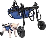 Las Mejores Ruedas para Perros: Análisis y Comparativa de Productos para Mejorar la Movilidad de Tu Mascota