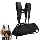 Las Mejores Mochilas para Perros Salchicha: Análisis y Comparativa de Productos Imperdibles
