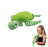 Guía completa: ¿Dónde comprar la mejor tortuga de tierra? Análisis y comparativa de opciones en el mercado