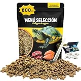 Guía Completa: ¿Qué Comen las Tortugas de Tierra y Agua? Comparativa de los Mejores Alimentos para Su Salud y Bienestar