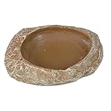 Las Mejores Tortugas de Tierra en Venta: Análisis y Comparativa de las Opciones más Saludables para tu Mascota