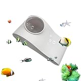 Locha Kuhli: Guía de Compra y Comparativa de los Mejores Productos para su Acuario