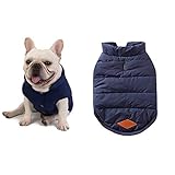 Las Mejores Opciones de Ropa para Bulldog Francés: Análisis y Comparativa de Estilos y Comodidad