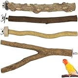 Los Mejores Accesorios para Canarios: Análisis y Comparativa de Productos Esenciales para el Bienestar de Tu Mascota