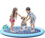 Los Mejores Accesorios para Disfrutar de un Día de Playa con tu Perro en Alboraya