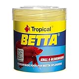 Guía Completa para Comprar Peces Betta: Comparativa de los Mejores Acuarios y Accesorios