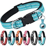 Los Mejores Collares para Perros: Análisis y Comparativa de Opciones Imprescindibles para tu Mascota