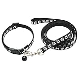 Correas y Collares para Perros: Análisis y Comparativa de los Mejores Productos del Mercado