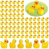 Guía Completa: Dónde Comprar Patos Pequeños y Comparativa de los Mejores Accesorios para su Cuidado