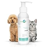 ¿La Caspa de los Gatos es Contagiosa? Análisis y Comparativa de Productos para Mantener a Tu Mascota Saludable