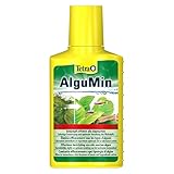 Guía Completa: Los Mejores Productos para Eliminar Algas en tu Acuario y Mantener a tus Mascotas Felices