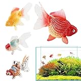 Guía Definitiva: Comparativa de los Mejores Peces Monja de Colores para Tu Acuario