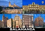 Los Mejores Souvenirs de Salamanca para Mascotas: Análisis y Comparativa de Regalos Únicos