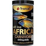 Los Mejores Acuarios y Accesorios para Peces Africanos: Análisis y Comparativa de Productos Esenciales