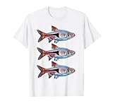 Todo lo que Necesitas Saber sobre la Rasbora Heteromorpha: Análisis y Comparativa de los Mejores Acuarios y Productos para su Cuidado