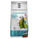 ¿Cuándo Considerar Adulto a un Loro Yaco? Guía Completa y Comparativa de los Mejores Productos para Su Cuidado
