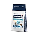 Advance Mini Adulto: Análisis y Comparativa de los Mejores Alimentos para Perros Pequeños