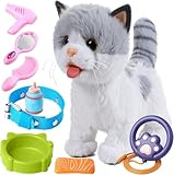 ¿Por qué mi gato llora porque quiere salir? Soluciones y los mejores productos para mantener a tu felino feliz en casa