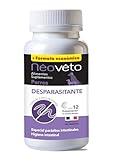 Los Mejores Antiparasitarios Internos para Perros: Análisis y Comparativa de Productos Efectivos
