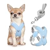 Los Mejores Arnés para Bichón Maltés: Análisis y Comparativa de Productos Esenciales para Tu Mascota