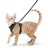 Los Mejores Arneses Antiescape para Gatos: Análisis y Comparativa de Productos Seguros y Confiables