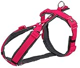 Los Mejores Arneses para Canicross: Comparativa y Análisis de Productos para Tu Perro