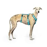 Los Mejores Arneses para Perros de Tres Puntos: Análisis y Comparativa de Opciones Seguras y Cómodas