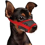 Los Mejores Bozales para Teckel: Análisis y Comparativa de Productos Esenciales para tu Mascota