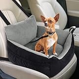 Los Mejores Campings para Perros: Análisis y Comparativa de las Opciones Más Pet-Friendly